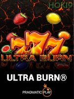 Ultra Burn game cover
